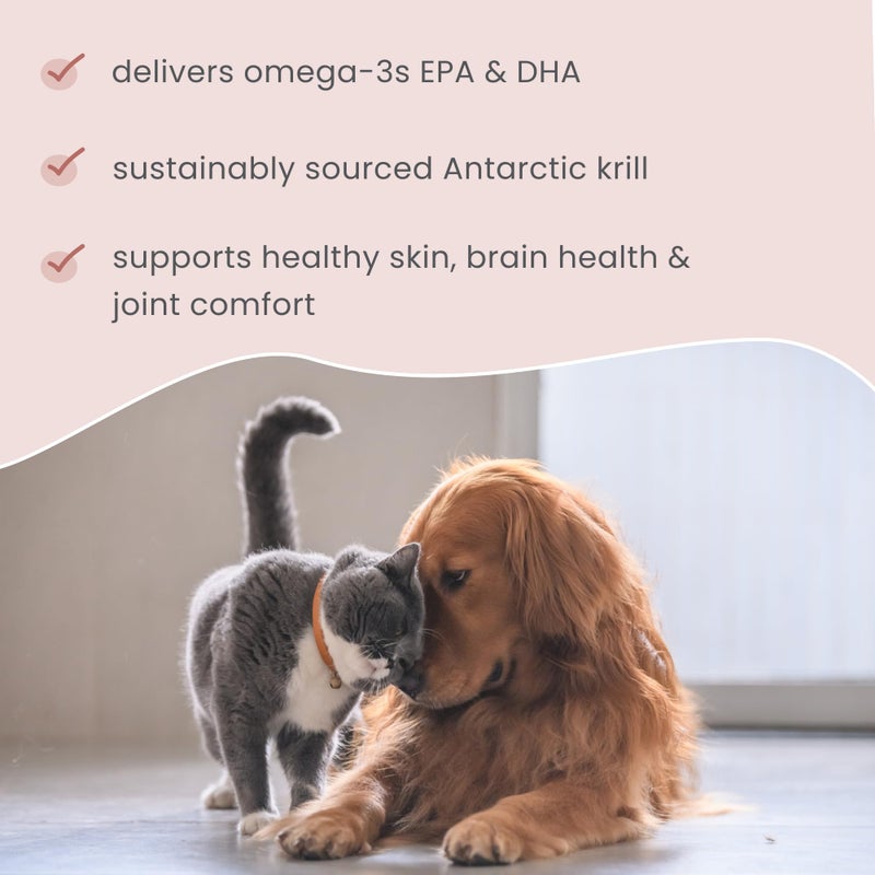 Dr. Mercola Bark & Whiskers Antarctic Krill Bites, 6.34 Oz. (180 g), 60 Chews, EPA & DHA, Supports Brain & Joint Health, Veterinarian Formulated, Non-GMO, MSC Certified, Dr. Mercola - Image 4